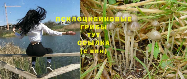 бошки Белоозёрский