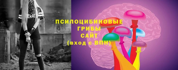 спайс Белокуриха