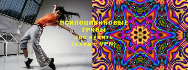 спайс Белокуриха