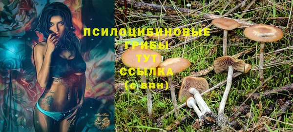 спайс Белокуриха