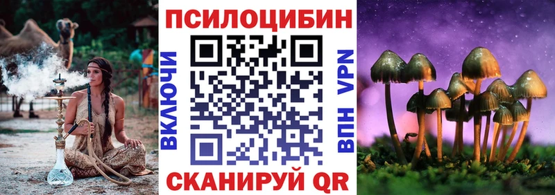 как найти закладки  Брюховецкая  Псилоцибиновые грибы ЛСД 